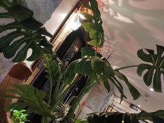 -樱蘭·影院足道·养生SPA(三里屯店)