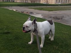 -北京拉斐特城堡酒店