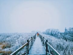 -大觉寺-停车场