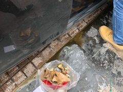 -星巴克臻选(周浦万达店)