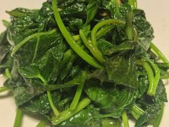 -阿诚市井潮汕菜(金台路店)