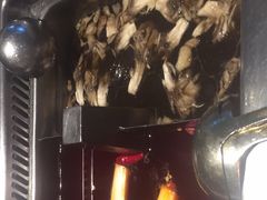 -海底捞火锅(龙岗星河COCO Park店)