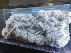 -湖南省地质博物馆