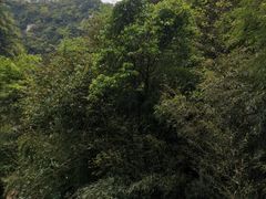 -神龙峡风景区