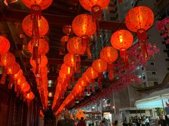 -新加坡佛牙寺龙华院