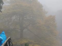 -云洞岩风景区