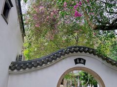 -深圳国际园林花卉博览园