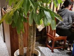 -苏渝汇重庆江湖菜(桐泾公园店)
