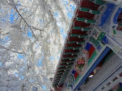 -崂山巨峰游览区
