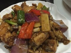 -豪华脆肉鲩