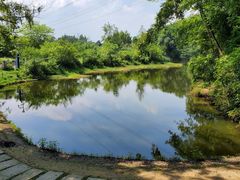 -桤木河湿地公园