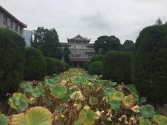 -四川大学(华西校区)