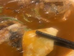 -邵年鸽(杨庄店)