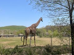 -哈尔滨北方森林动物园