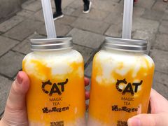-猫的魔法密林(衣裳街店)