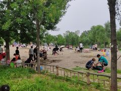 -东郊湿地公园