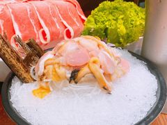 天鹅蛋-东海怡品海鲜豆捞(舟宿夜江店)