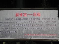 -武陵山森林公园