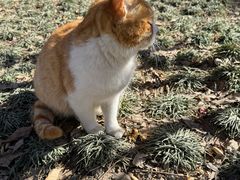 -终南山南五台景区