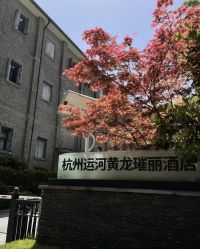 -杭州运河黄龙璀丽酒店-宴会厅