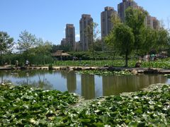 -前关湿地公园