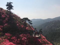 -木兰云雾山