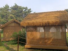 -长春市南湖公园