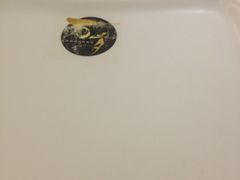 -万岁回转寿司