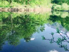 -青峰峡国家森林公园