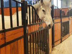 -迪卡侬(安德门店)