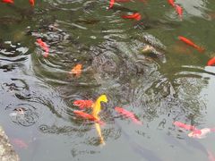 -宁波市保国寺古建筑博物馆