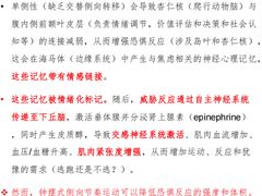 -加伍磅健身(千树店)