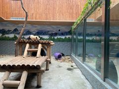 -西安秦岭野生动物园
