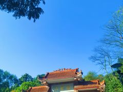-缙云山景区