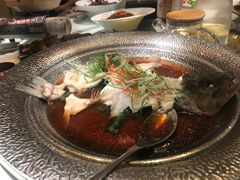 清蒸鲜鲈鱼-花舍·新派粤菜·西餐·下午茶(亚运村·鸟巢店)