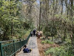 -大蜀山国家森林公园