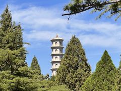 -龙口南山旅游景区