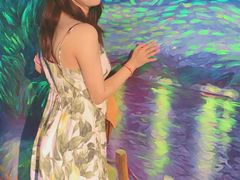 -梵高星空艺术馆(北京旗舰店)