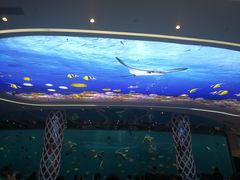 海鲜-瑞德姆美人鱼海底演艺主题餐厅(亚龙湾店)