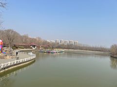 -塘沽森林公园