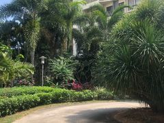 -红树湾小区
