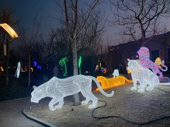 -南宫五洲植物乐园