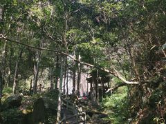 -姑婆山旅游区