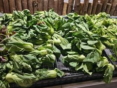-吉麦隆(查桥商业广场店)