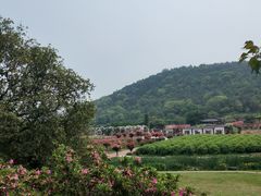 -龙寺生态园