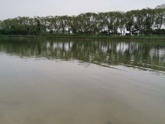 -大兴滨河森林公园