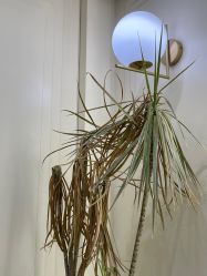 -3AM HAIR SALON染发接发