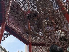-中国福利会少年宫