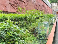 -广州神农草堂中医药博物馆