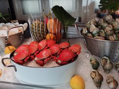 -Social 秀西餐厅-长沙瑞吉酒店(运达店)